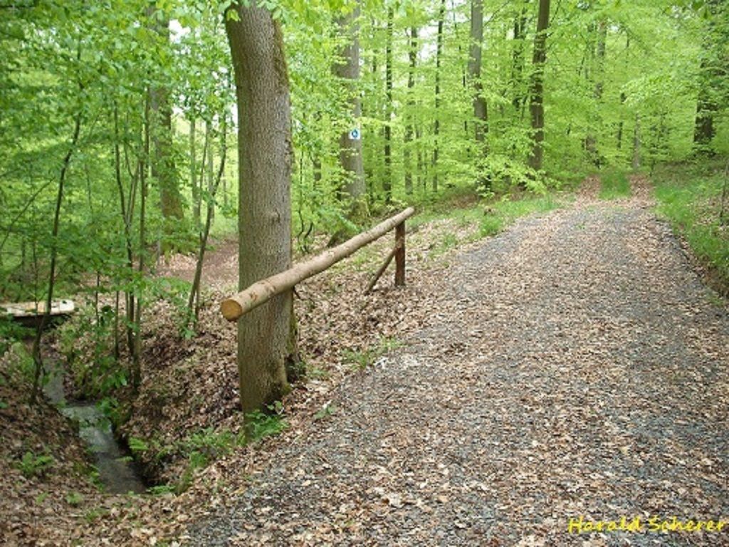 DHW0085.jpg